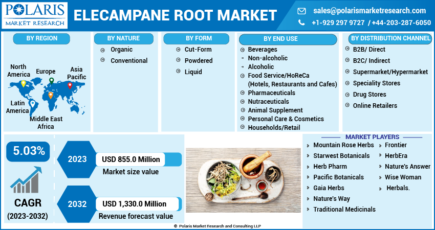 Elecampane Root Market Share, Size, Trends